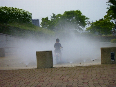 d0120382_12466100.jpg