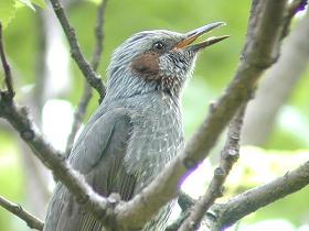 c0125283_1431570.jpg