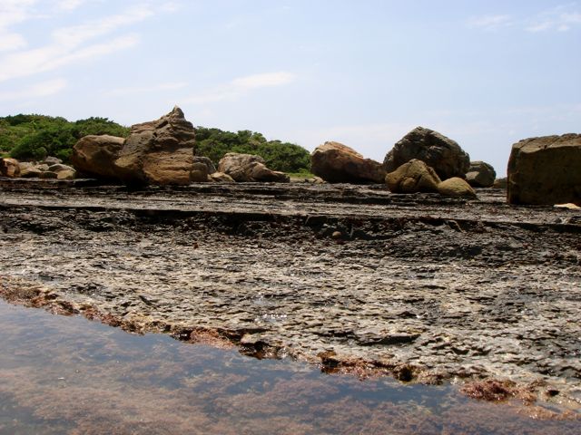 e0129083_19555216.jpg