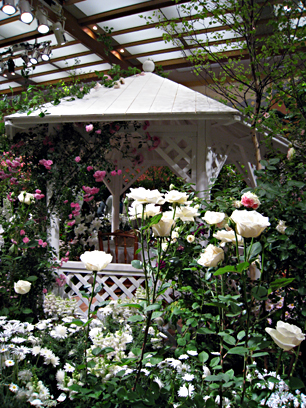 b0034284_20465566.jpg