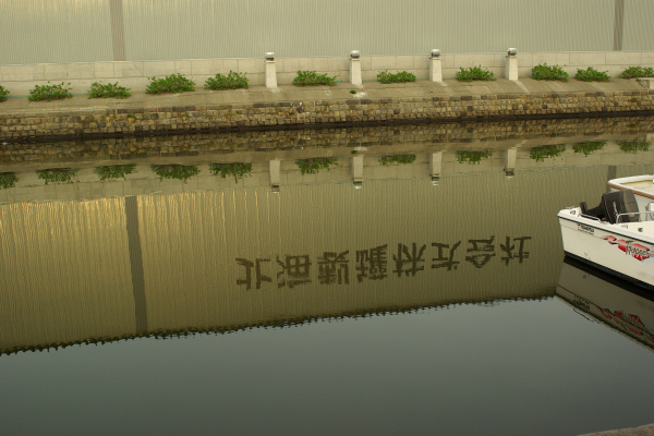 e0051186_1953163.jpg