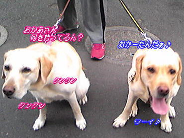 c0028792_23491432.jpg