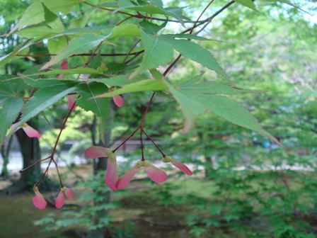 e0111793_11392669.jpg