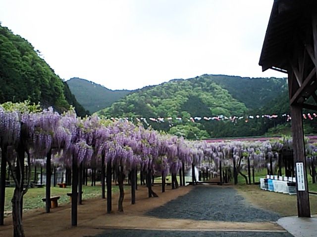 b0092694_21521680.jpg