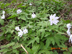 c0151898_19141077.jpg