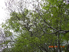 c0151898_191598.jpg