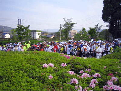 b0108100_17503046.gif
