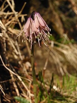 f0157901_855144.jpg