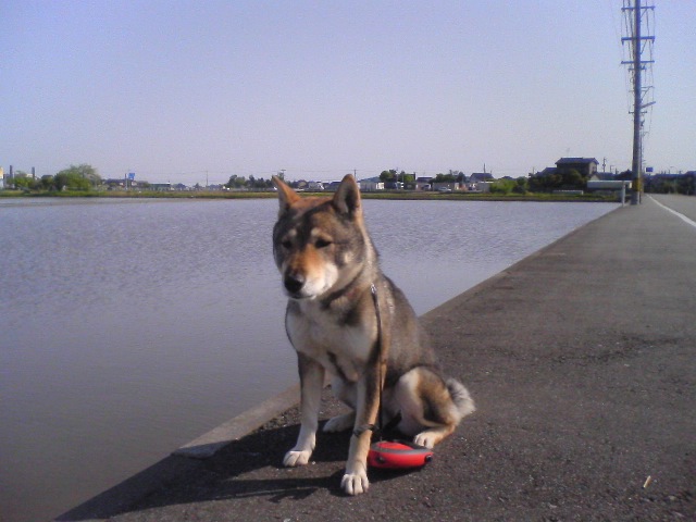 f0079202_8115744.jpg