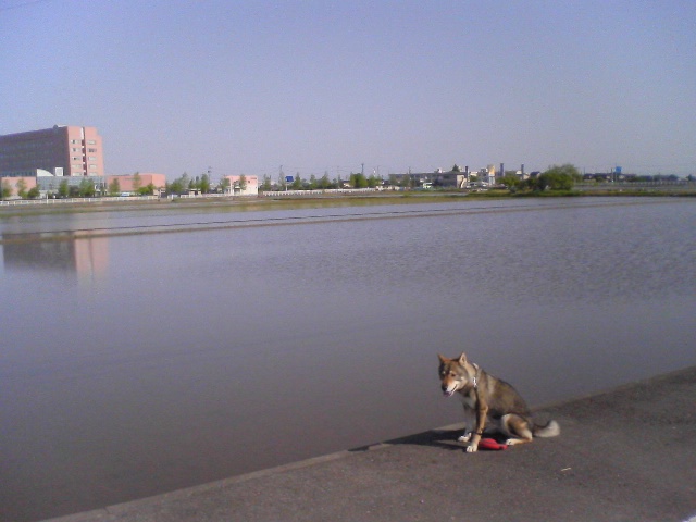 f0079202_8115762.jpg