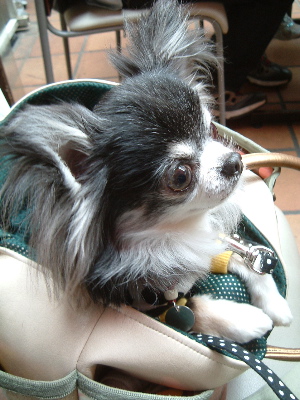 a0079803_0393114.jpg