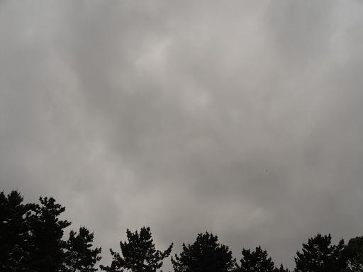 b0116703_22473219.jpg
