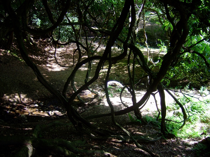 c0043403_19413467.jpg