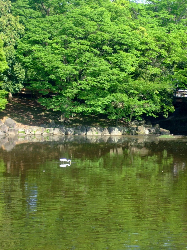 c0043403_1945549.jpg