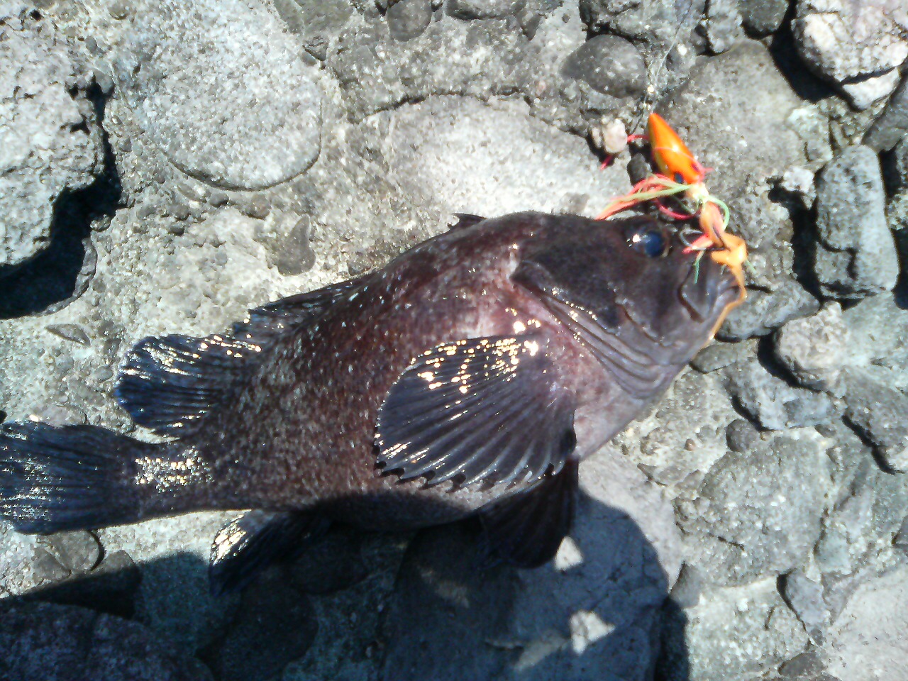 f0035404_21101552.jpg