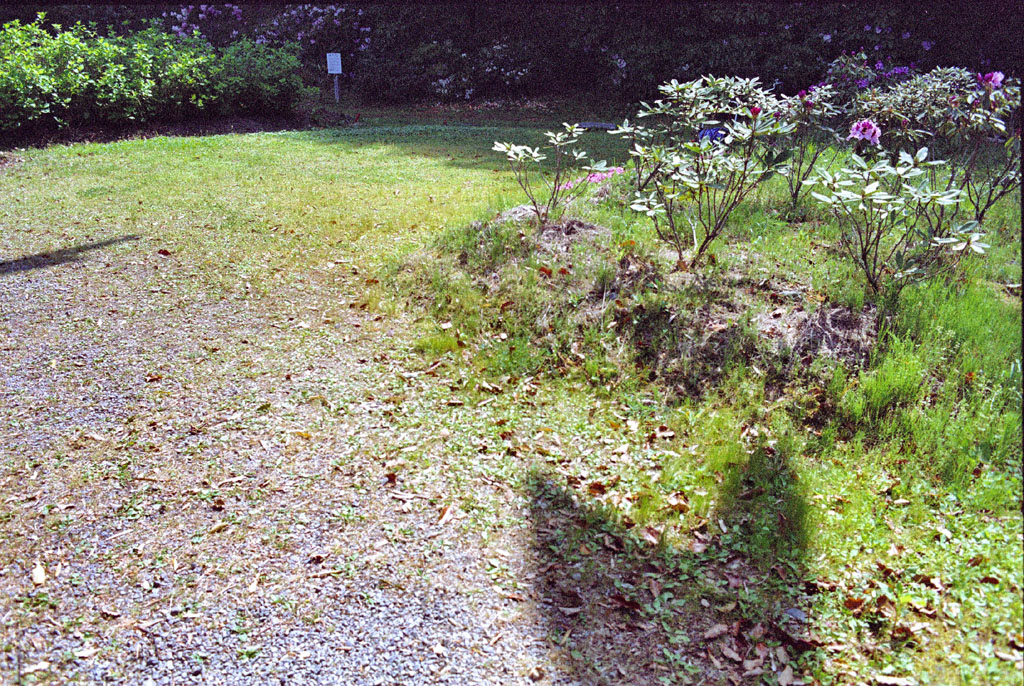 e0129805_5474240.jpg