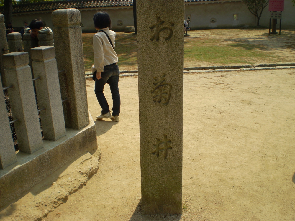 a0100206_1204054.jpg