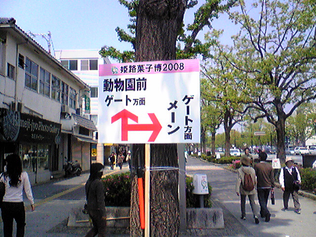 a0100206_145387.jpg