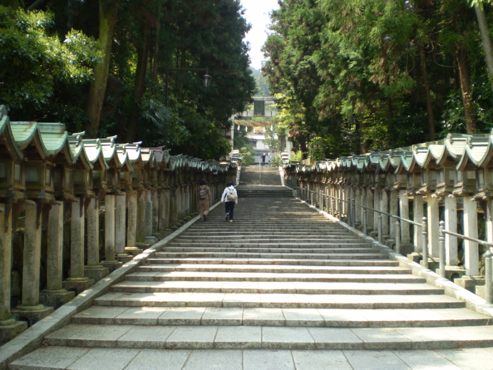 a0100206_1591152.jpg