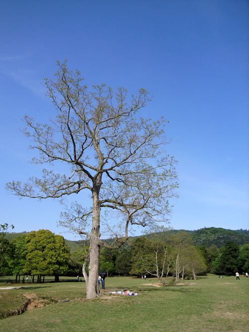 e0024206_21545558.jpg
