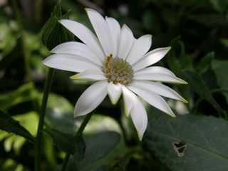 b0061107_2338381.jpg