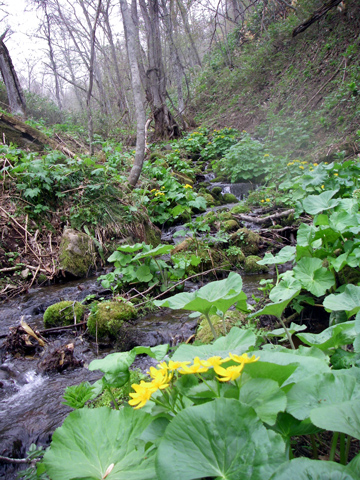 d0051707_23421888.jpg