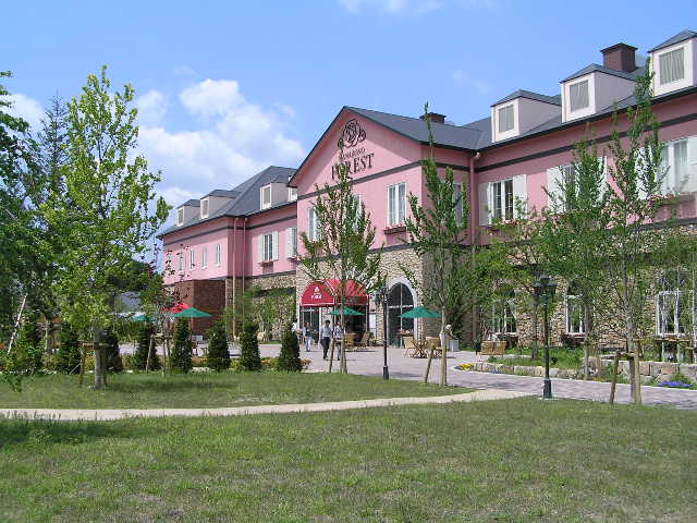 b0129008_19414840.jpg