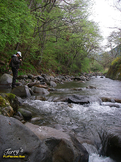 e0009009_2301547.jpg
