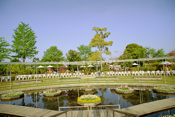 c0028713_15573886.jpg