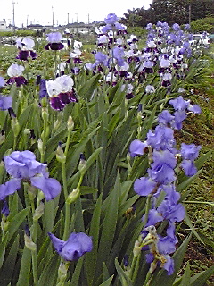 f0049813_23554113.jpg