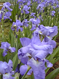 f0049813_23554281.jpg