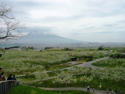 d0087418_1017361.jpg