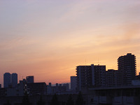 e0053718_22492016.jpg