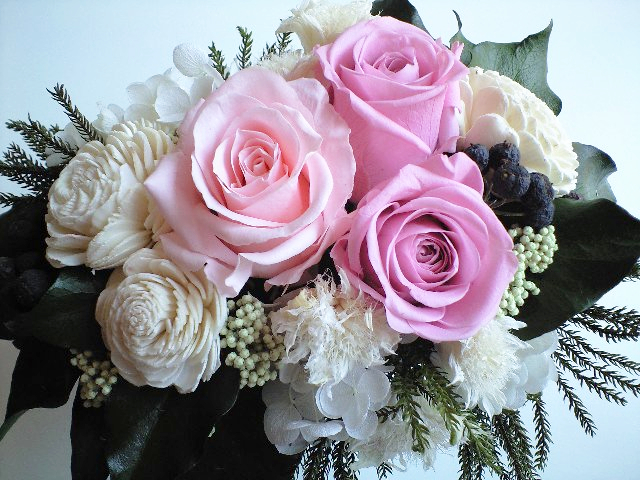 e0123920_0232349.jpg