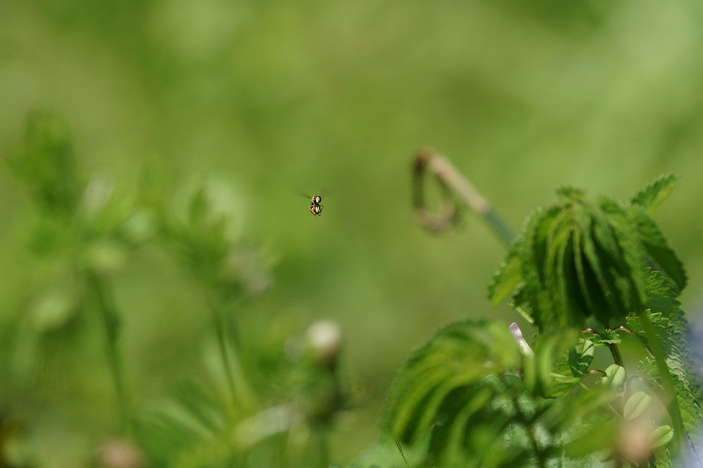 d0089024_20125946.jpg