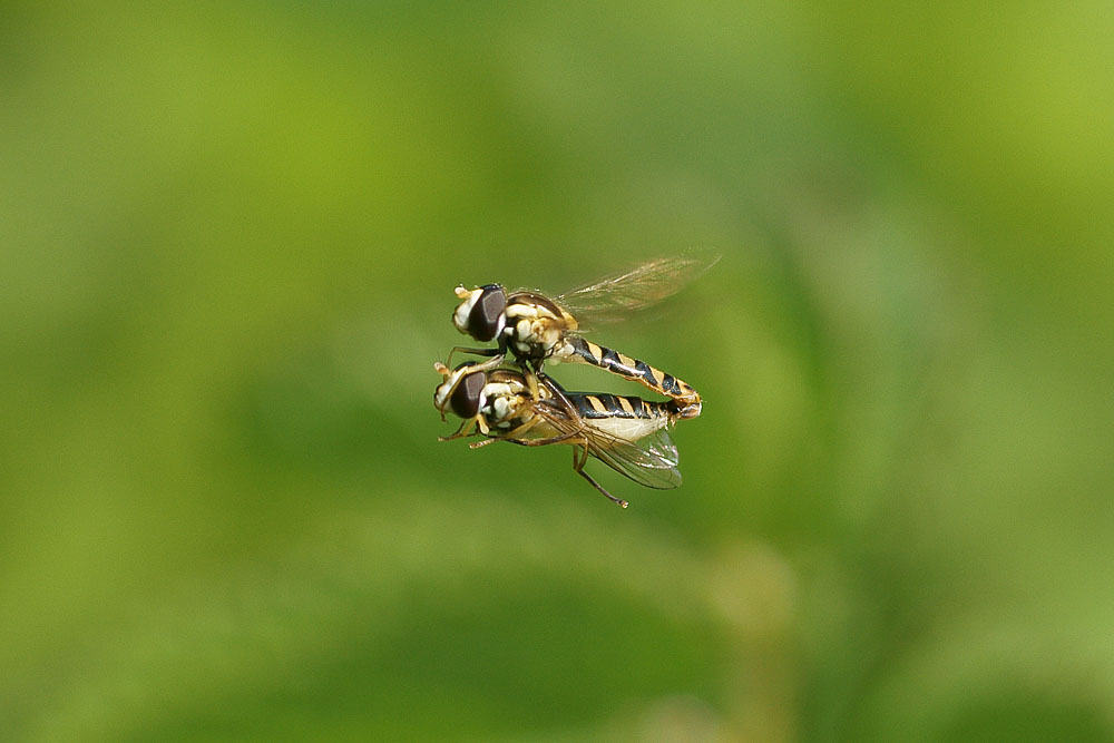 d0089024_20213999.jpg