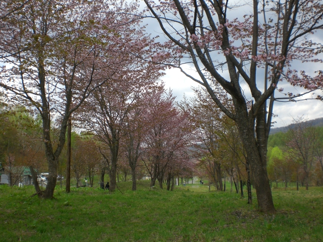 e0122424_1754954.jpg