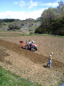 f0022024_17474059.jpg