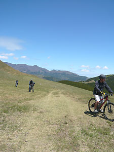 d0023725_8535137.jpg
