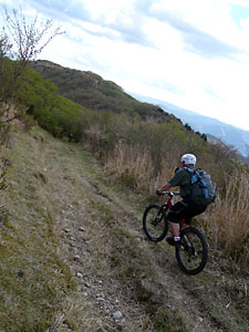 d0023725_854751.jpg