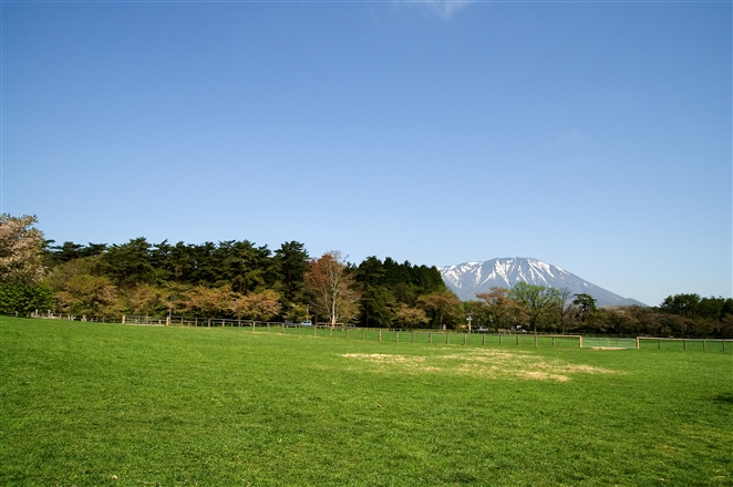 f0040525_16155543.jpg