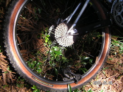 e0002927_1950292.jpg