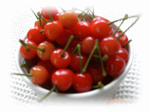 f0054829_10425976.gif