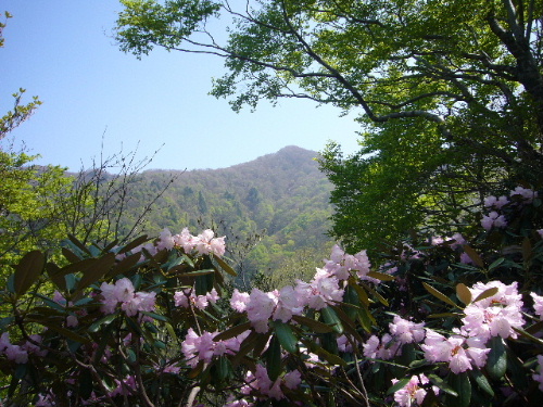 d0075131_1549697.jpg