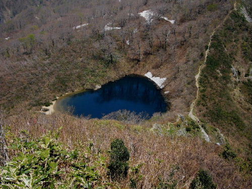 d0075131_1665611.jpg