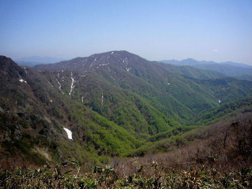 d0075131_1672968.jpg