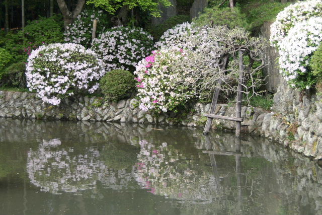 e0064133_13512343.jpg