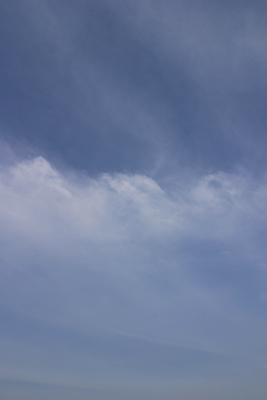 a0097735_0444161.jpg