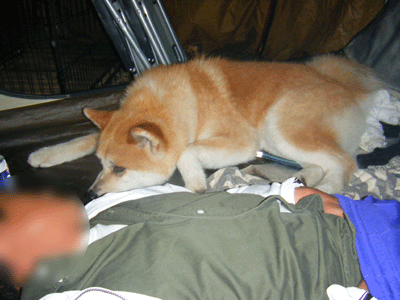 f0008935_074490.gif