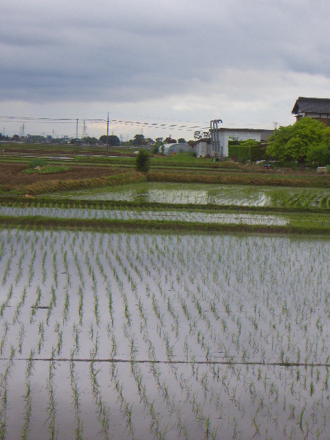 c0146637_2124714.jpg